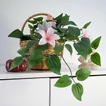 Jacobs Legacy - 4 Bedroom House, Free Parking, Near Center